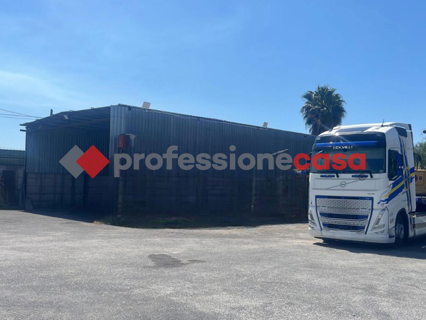 Terreno Agricolo in affitto a Belpasso