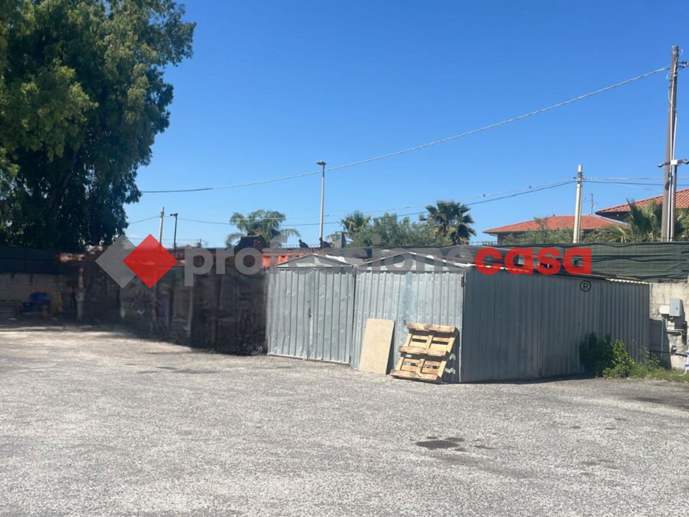 Terreno Agricolo in affitto a Belpasso