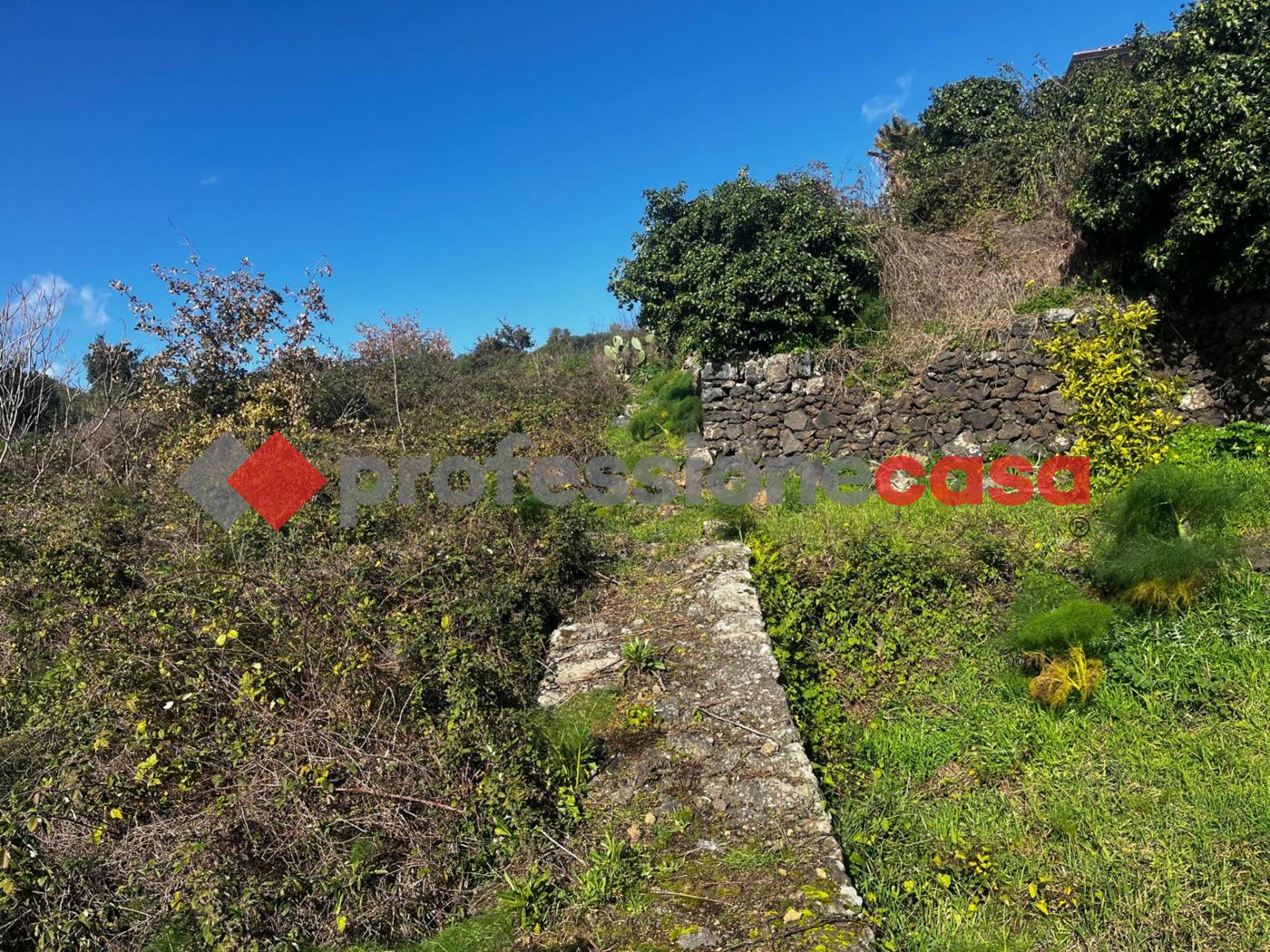 Terreno Agricolo in vendita a Mascalucia