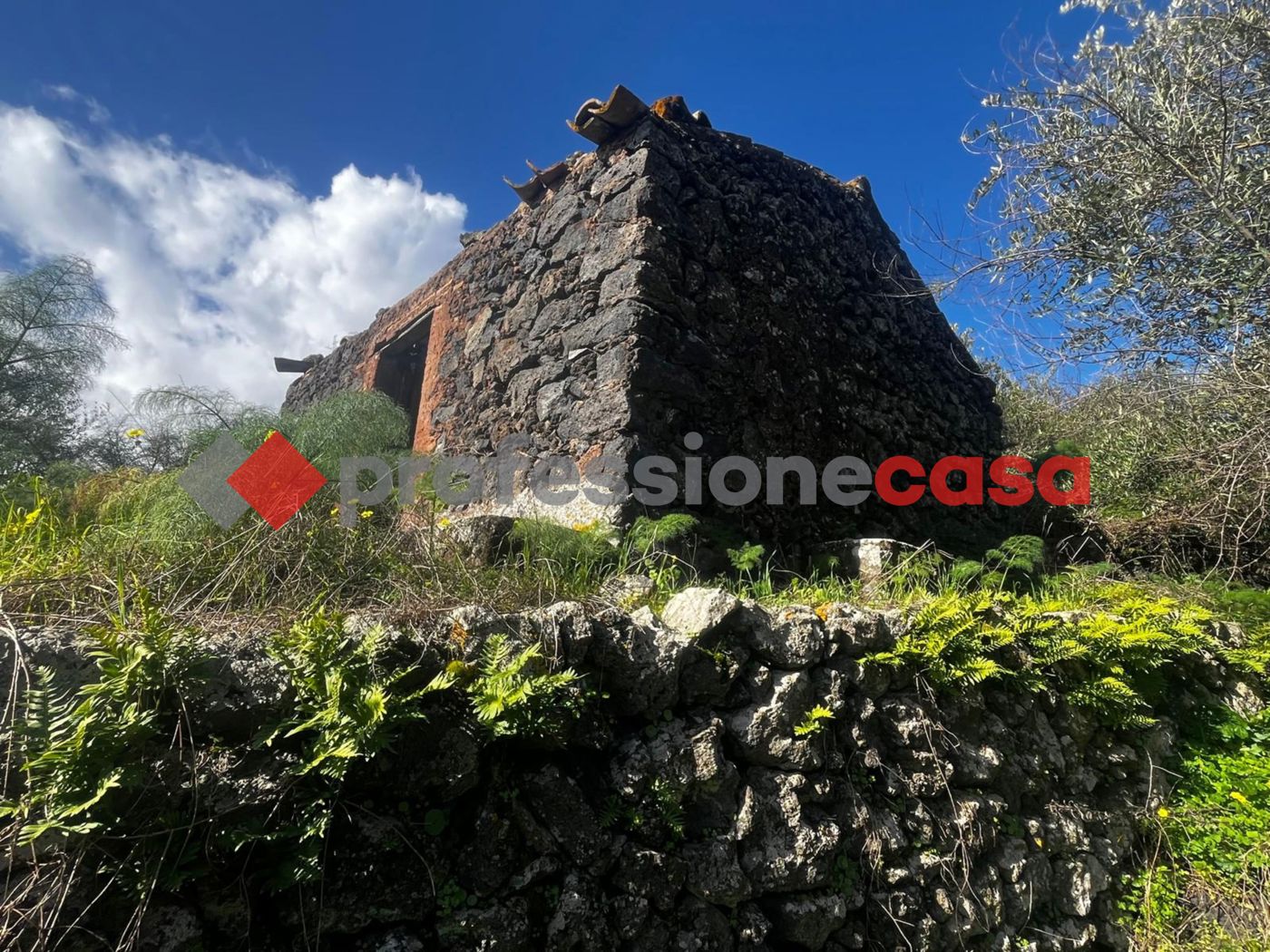 Terreno Agricolo in vendita a Mascalucia