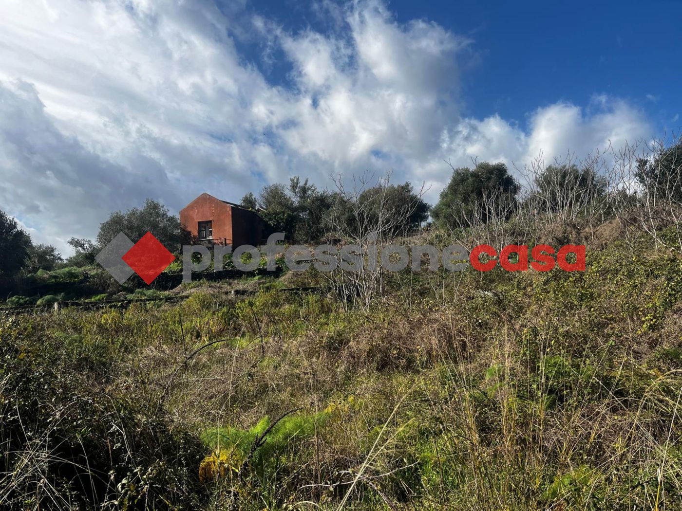 Terreno Agricolo in vendita a Mascalucia