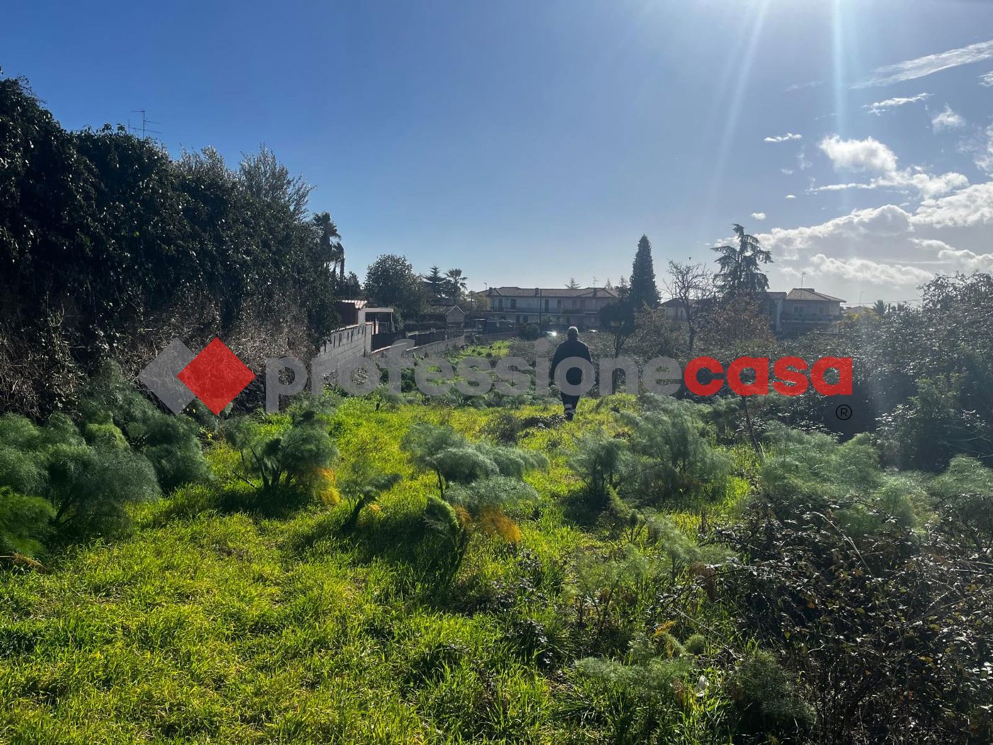 Terreno Agricolo in vendita a Mascalucia