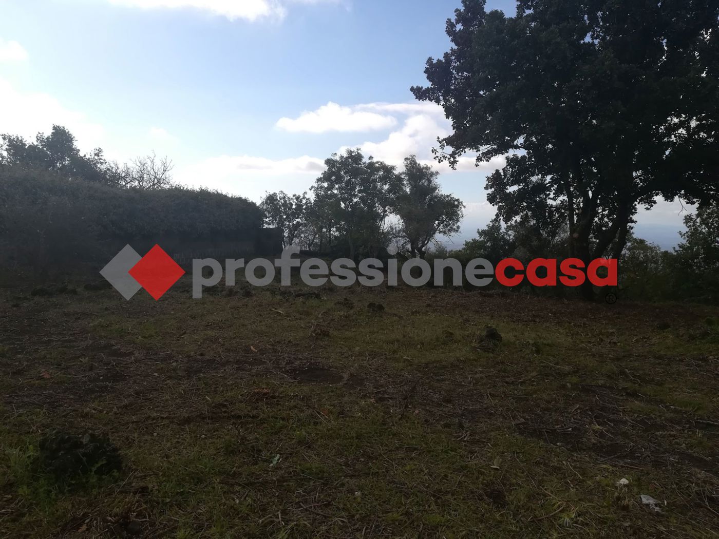 Terreno Agricolo in vendita a Belpasso