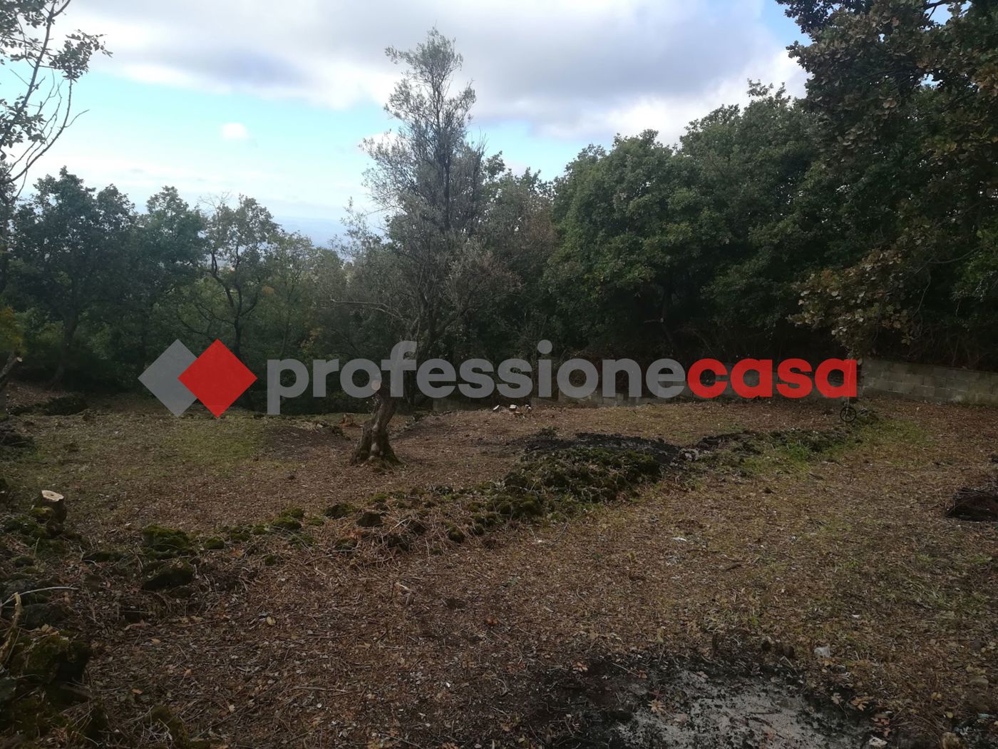 Terreno Agricolo in vendita a Belpasso