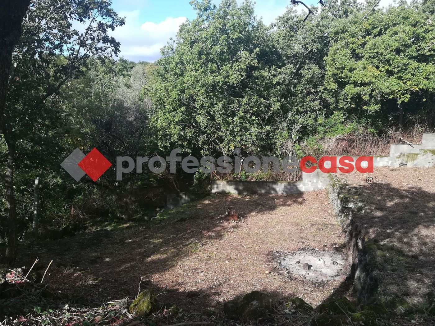 Terreno Agricolo in vendita a Belpasso