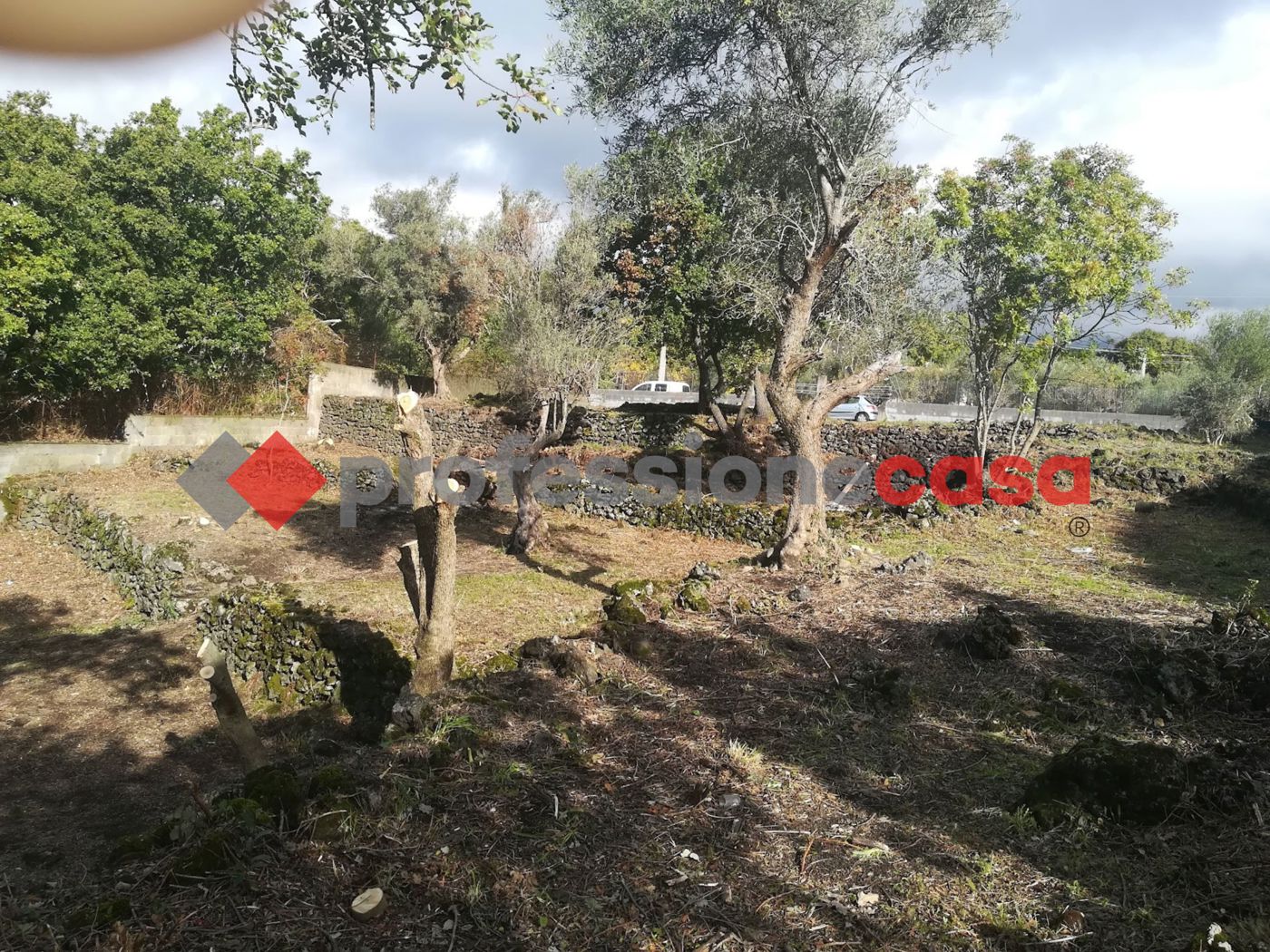 Terreno Agricolo in vendita a Belpasso