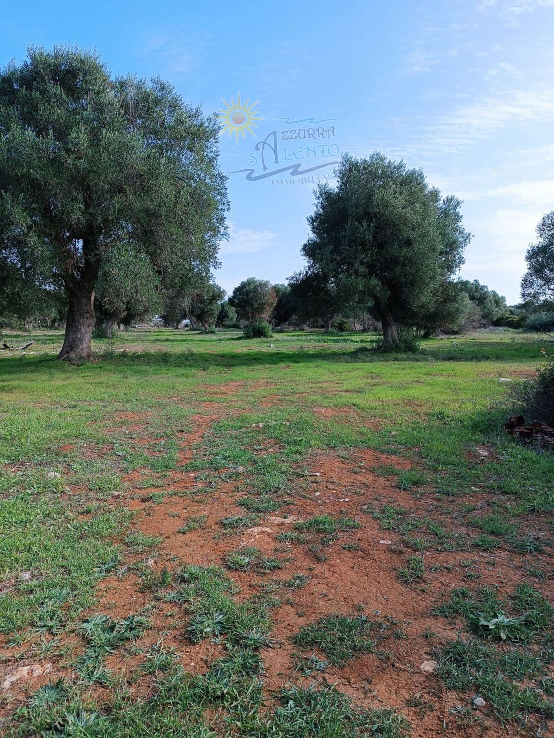 Terreno Agricolo in vendita a Maruggio