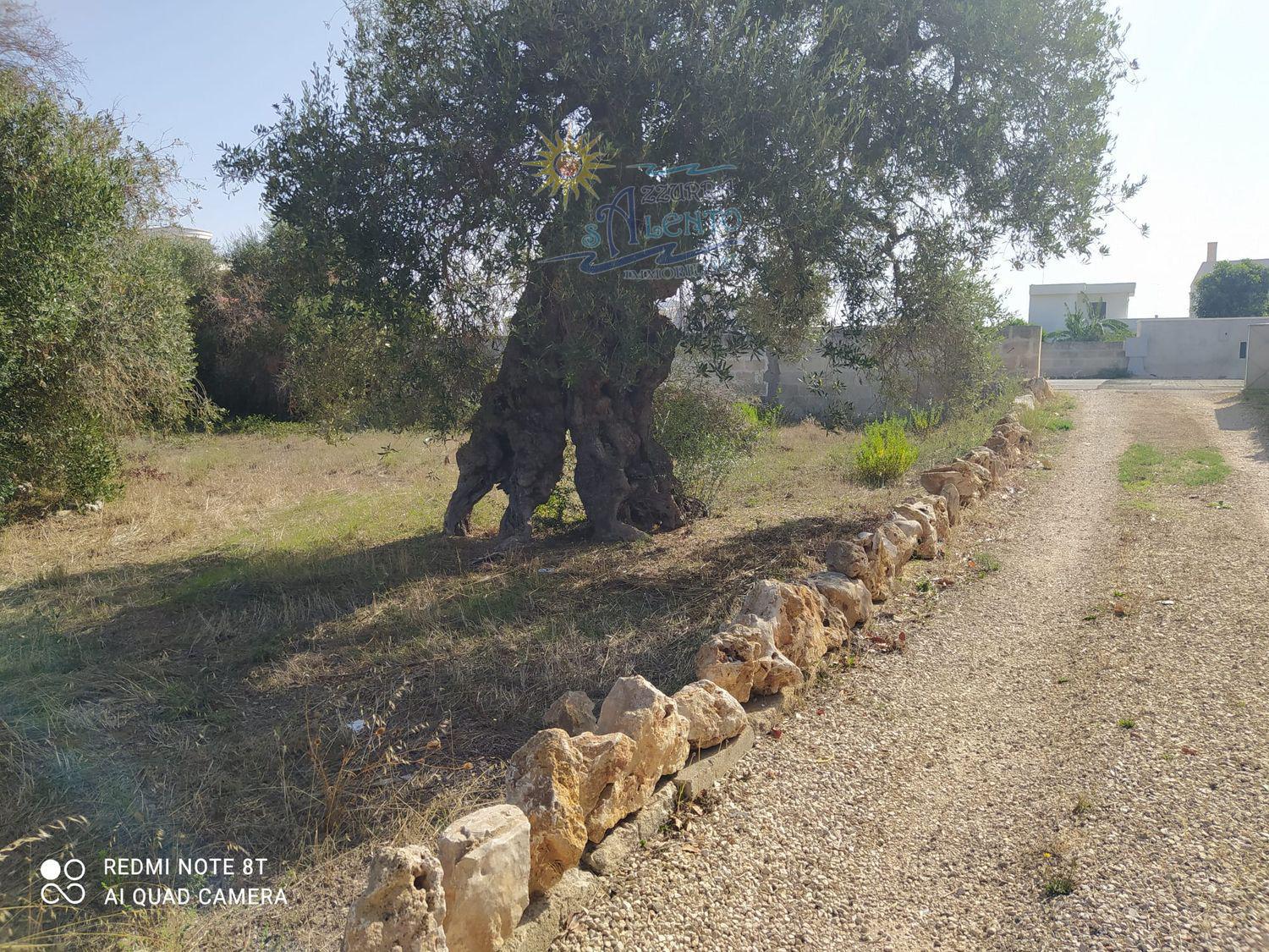 Terreno Edificabile in vendita a Maruggio