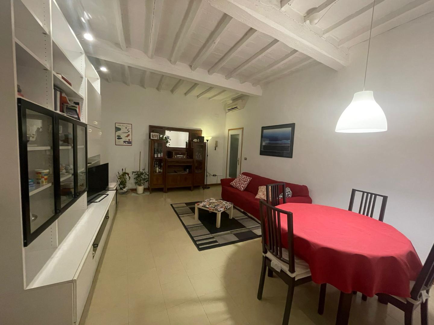 Quadrilocale arredato in affitto, Pisa san martino