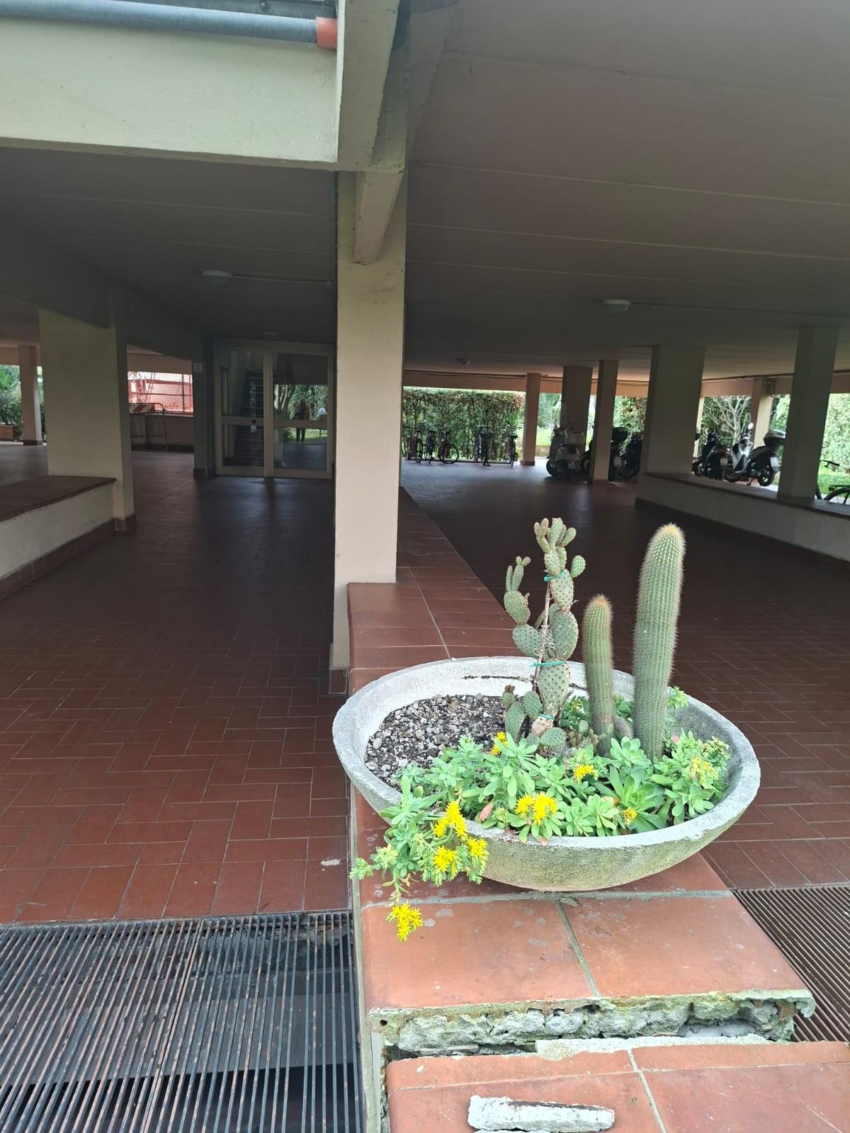 Appartamento con terrazzo, Pisa nova