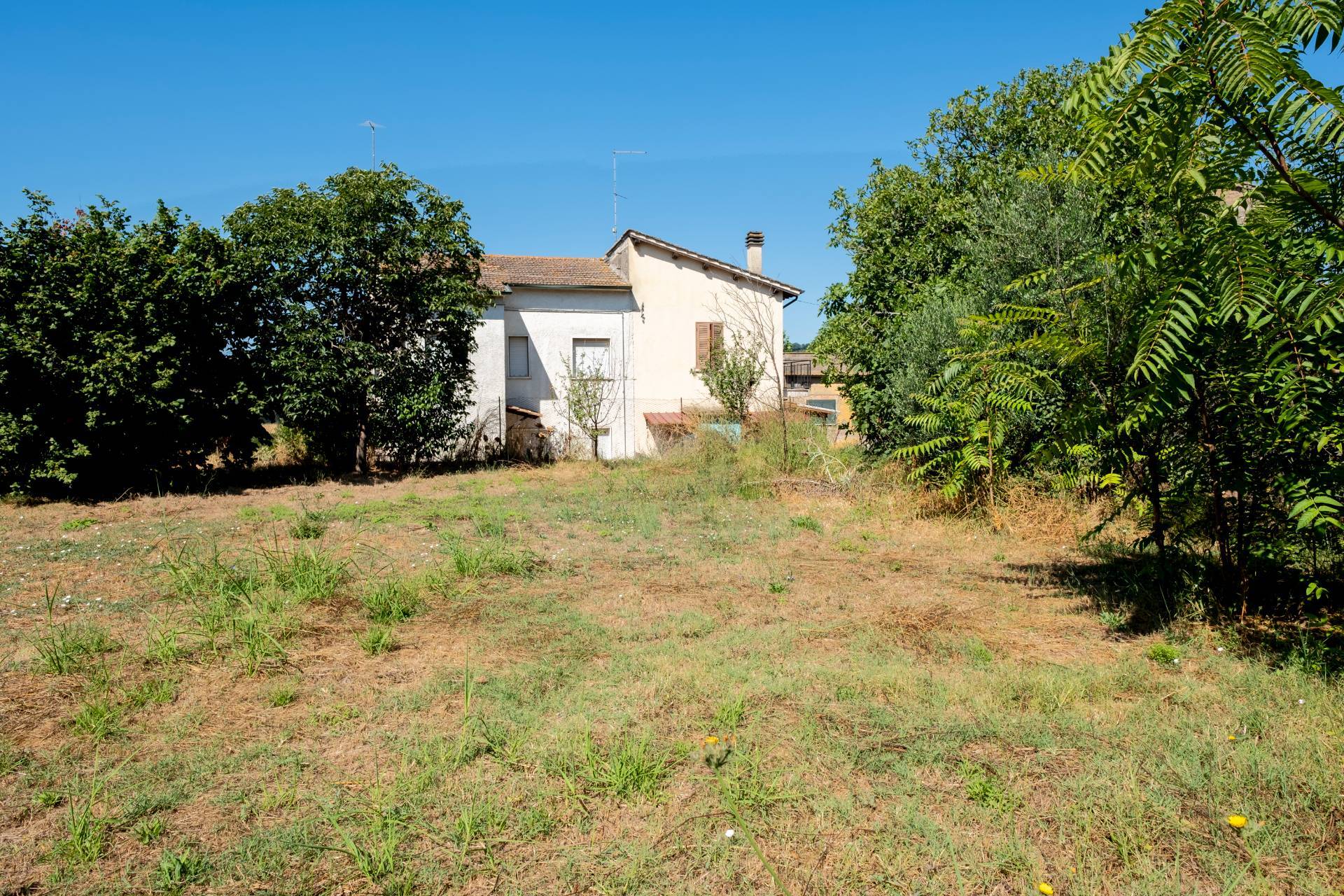 Terreno edificabile in vendita a Attigliano
