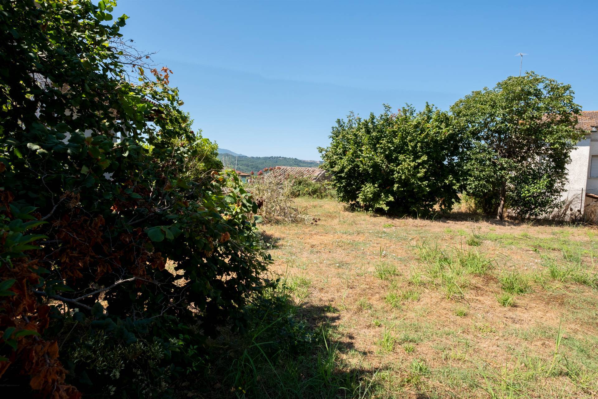 Terreno edificabile in vendita a Attigliano
