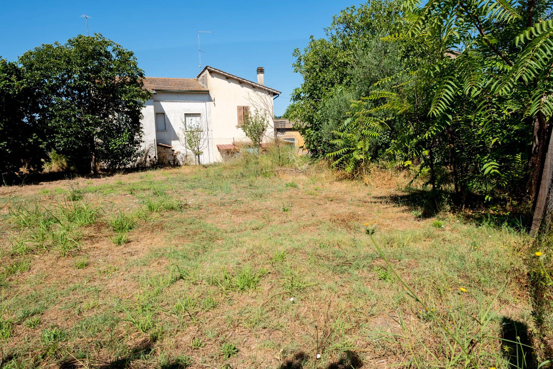 Terreno edificabile in vendita a Attigliano