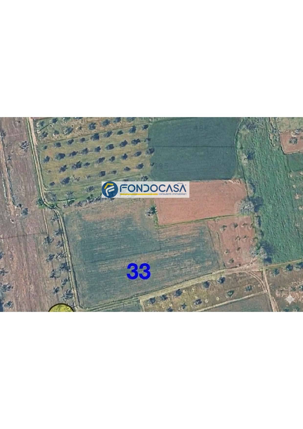 Terreno in vendita a Matino