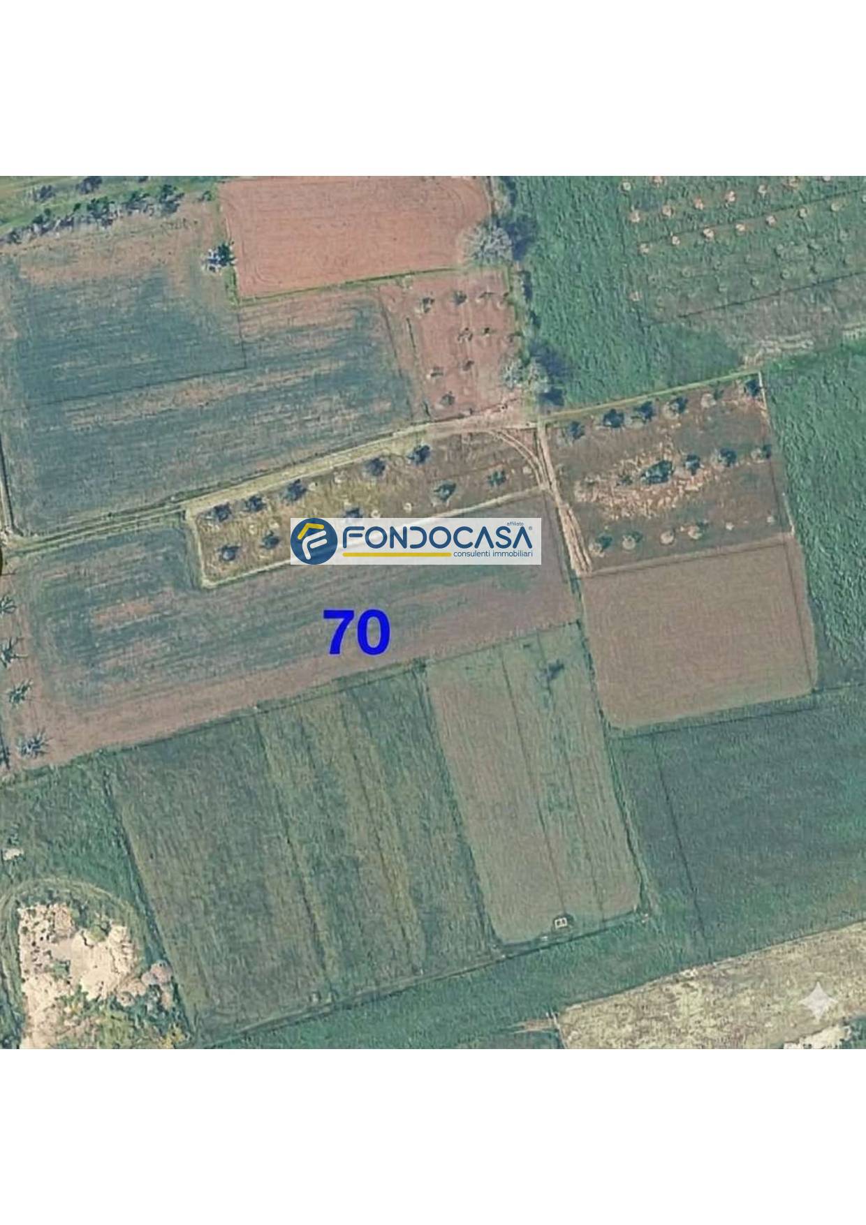 Terreno in vendita a Matino