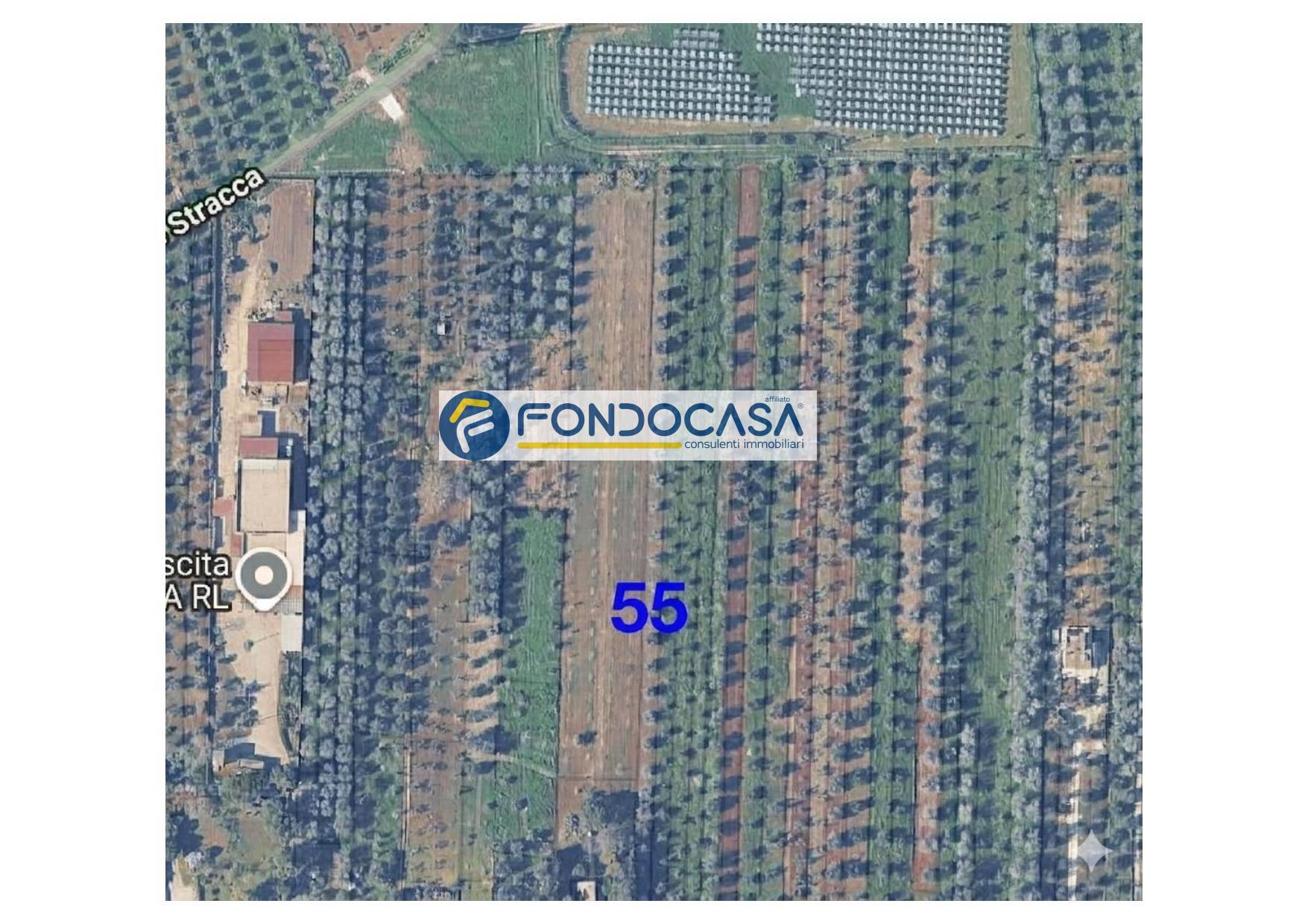 Terreno in vendita a Collepasso