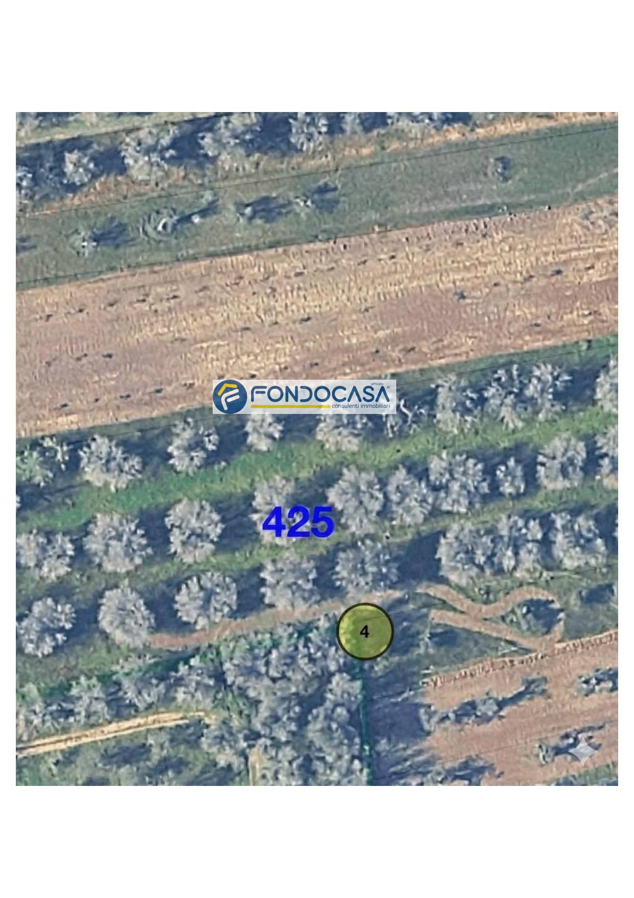 Terreno in vendita a Collepasso