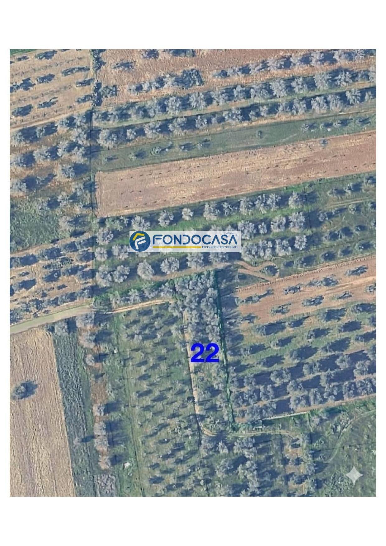 Terreno in vendita a Collepasso