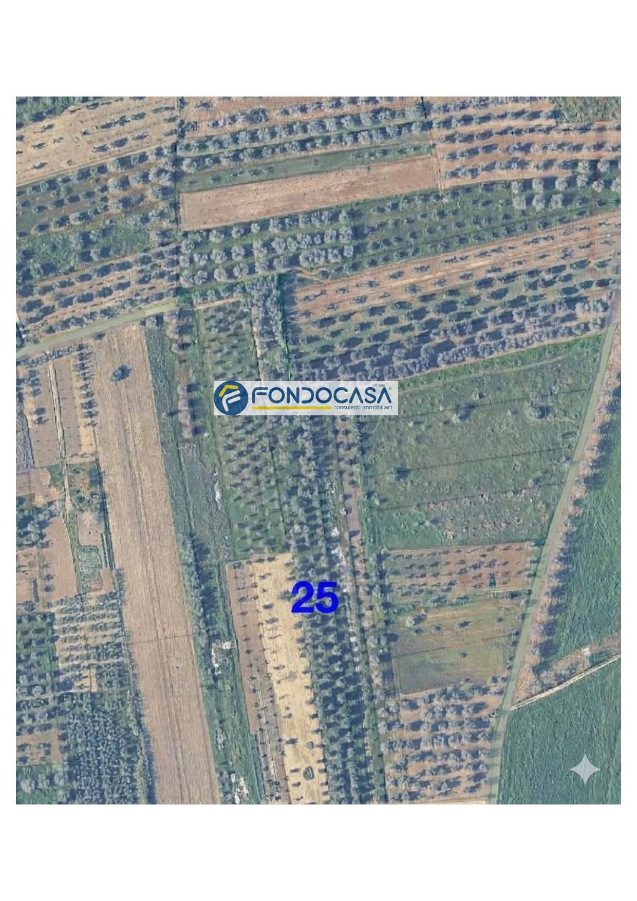 Terreno in vendita a Collepasso