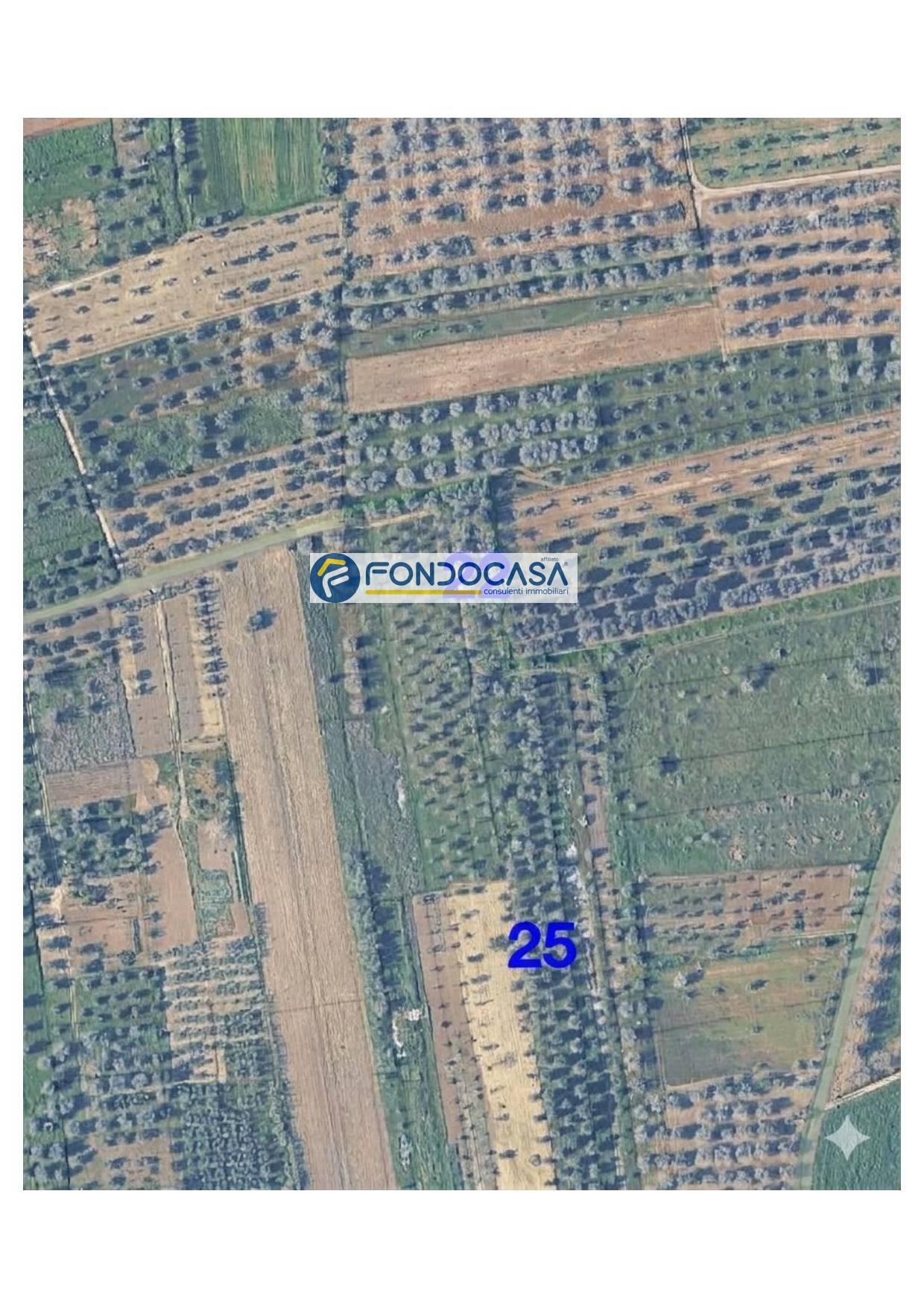 Terreno in vendita a Collepasso