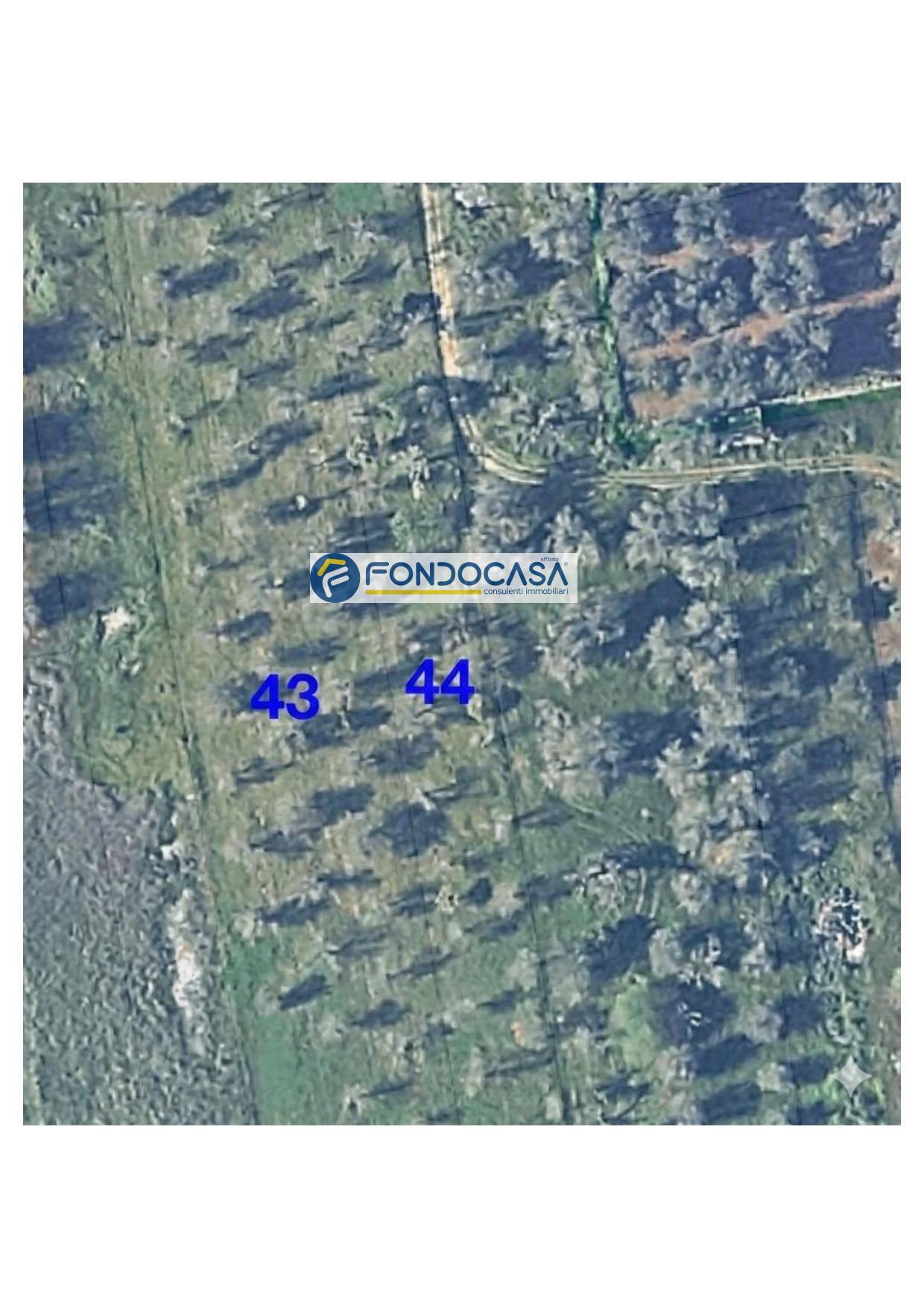 Terreno in vendita a Collepasso