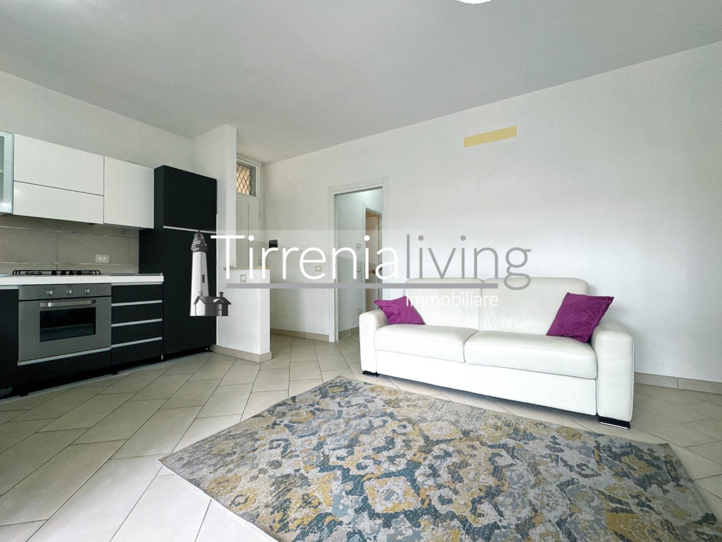Bilocale arredato in affitto, Pisa tirrenia