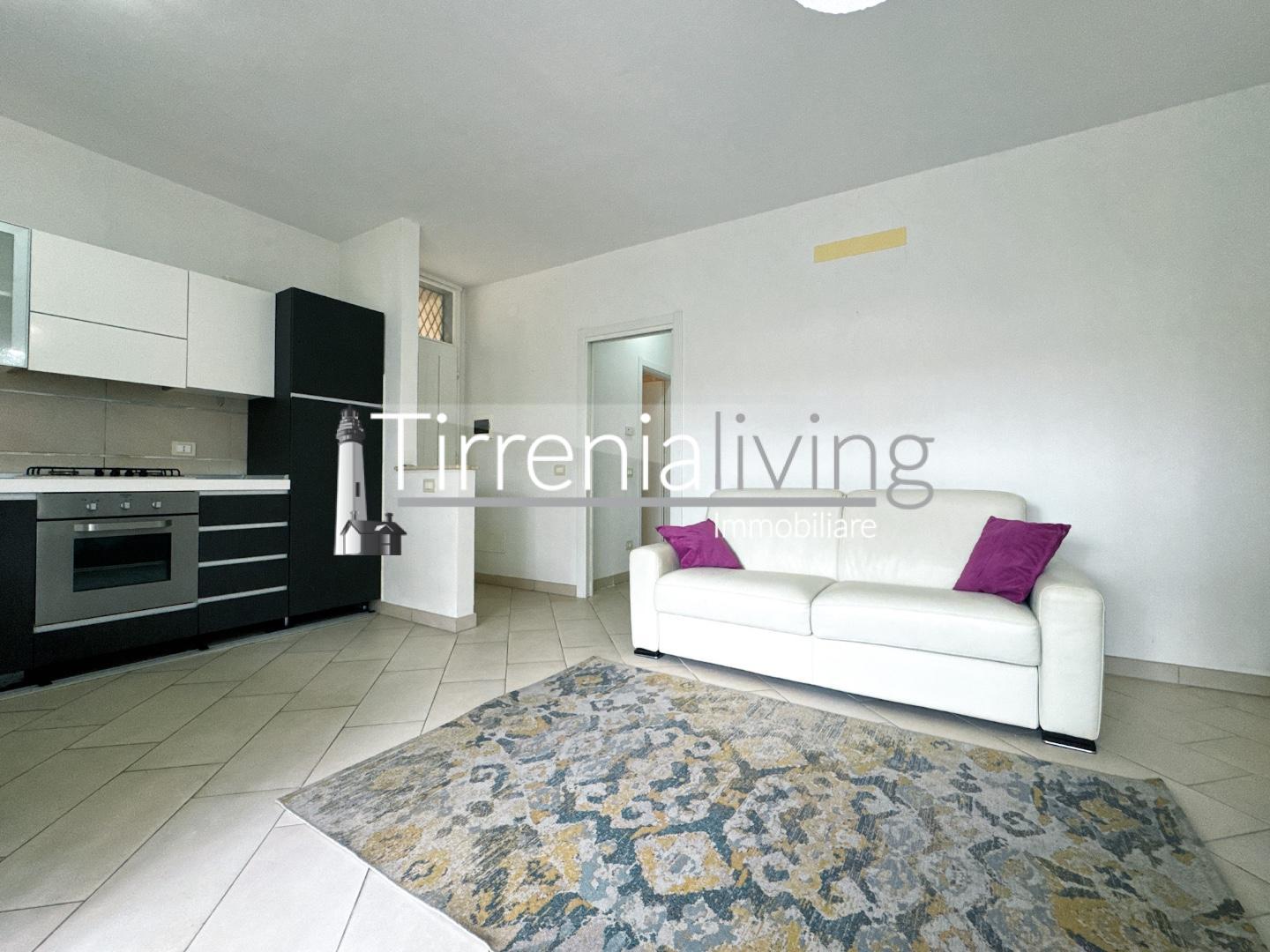 Bilocale arredato in affitto, Pisa tirrenia