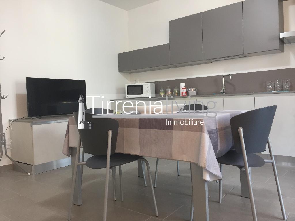 Bilocale arredato in affitto, Pisa calambrone