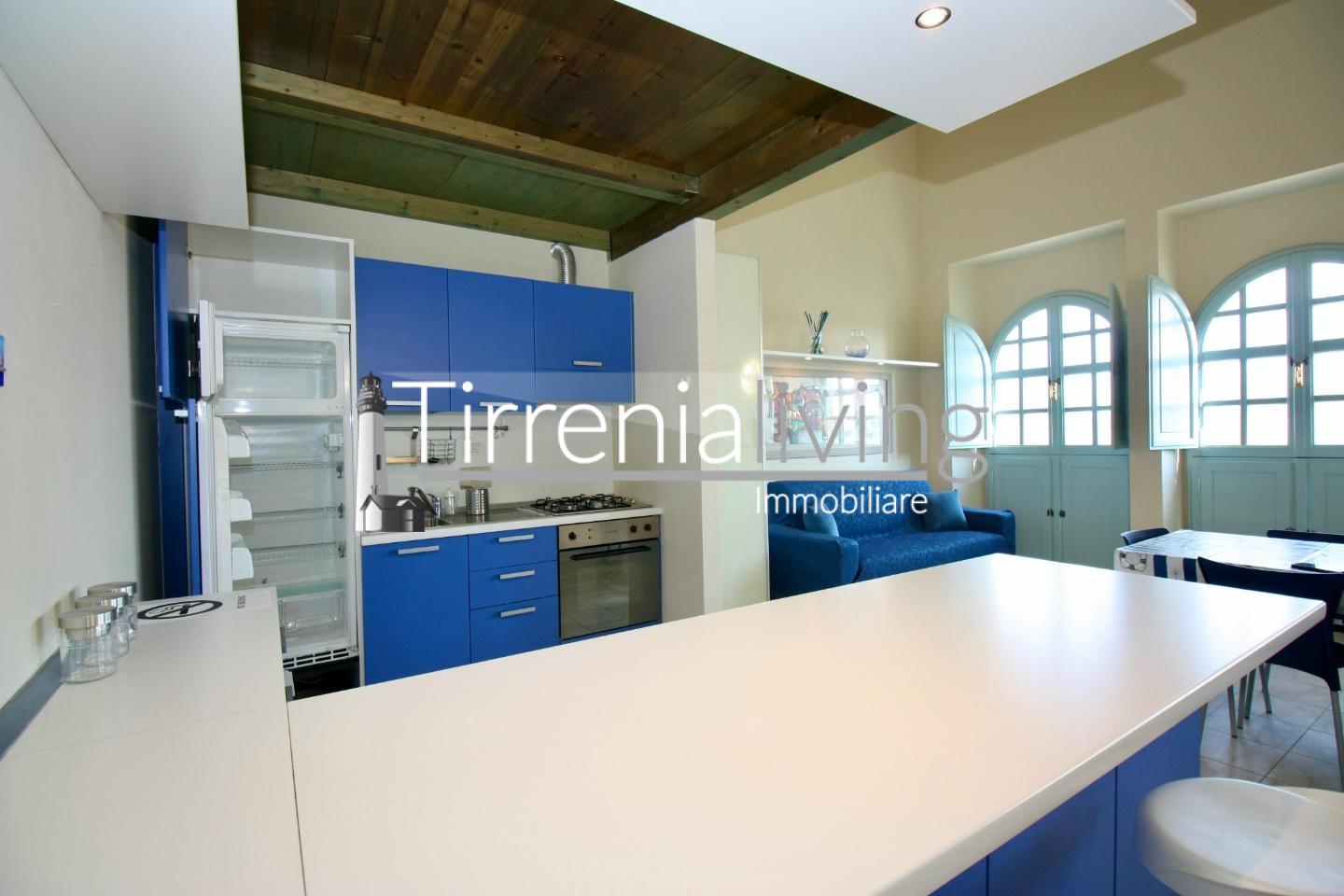 Bilocale arredato in affitto, Pisa calambrone