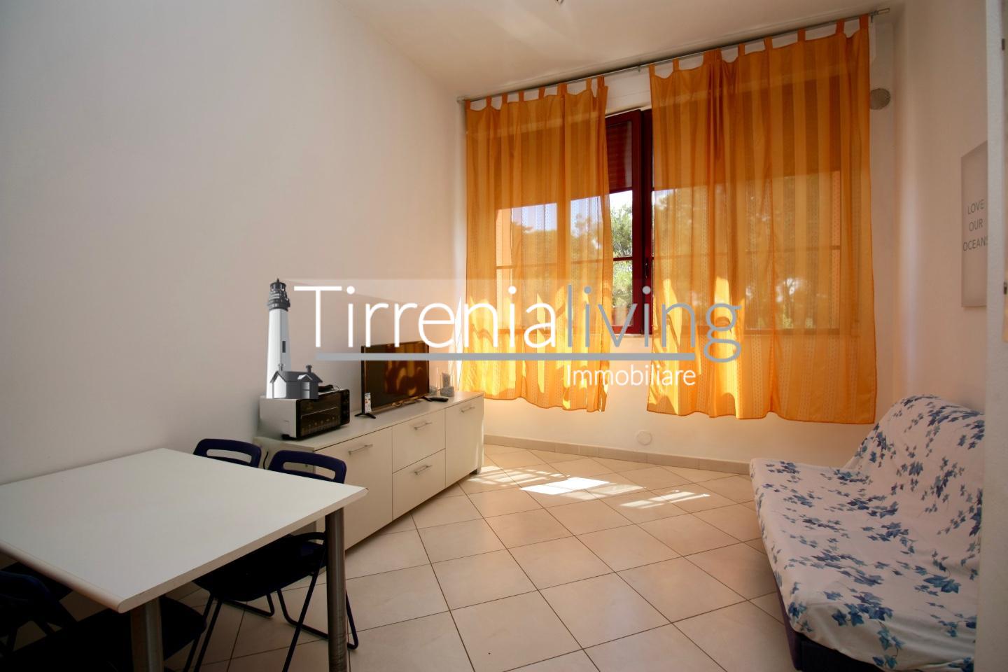 Bilocale arredato in affitto, Pisa calambrone