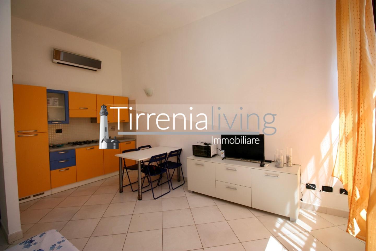 Bilocale arredato in affitto, Pisa calambrone