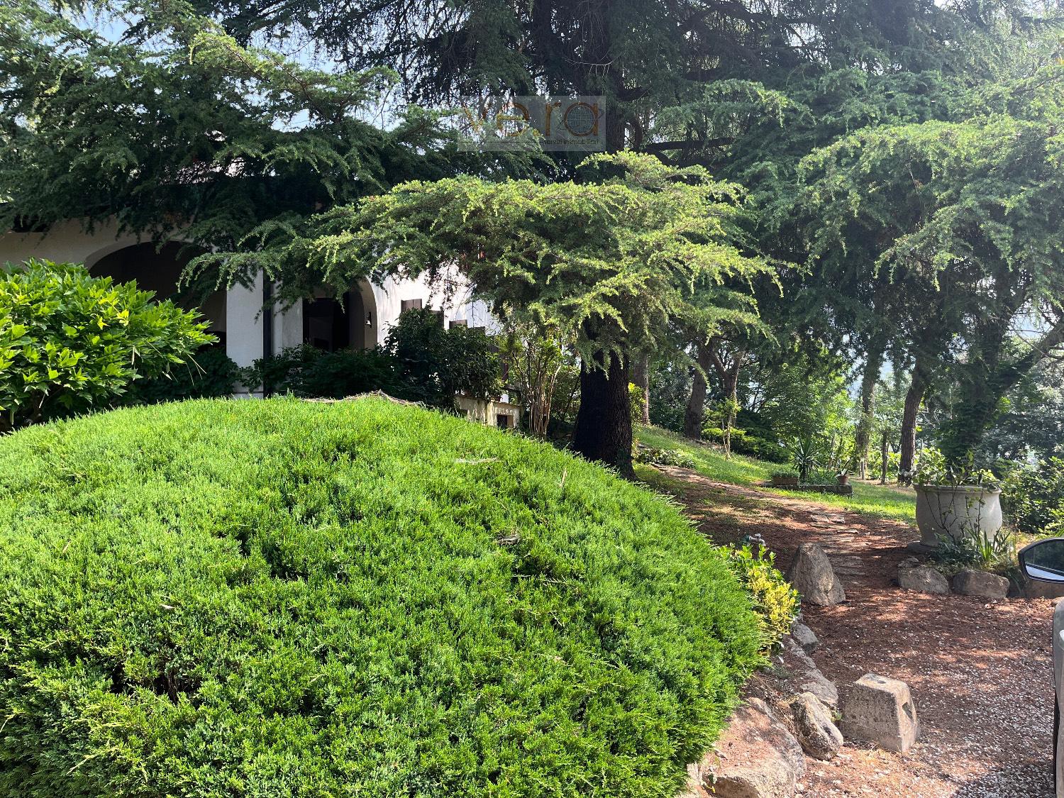 Villa in vendita a Cinto Euganeo