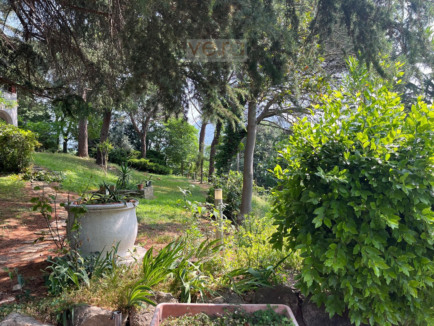 Villa in vendita a Cinto Euganeo