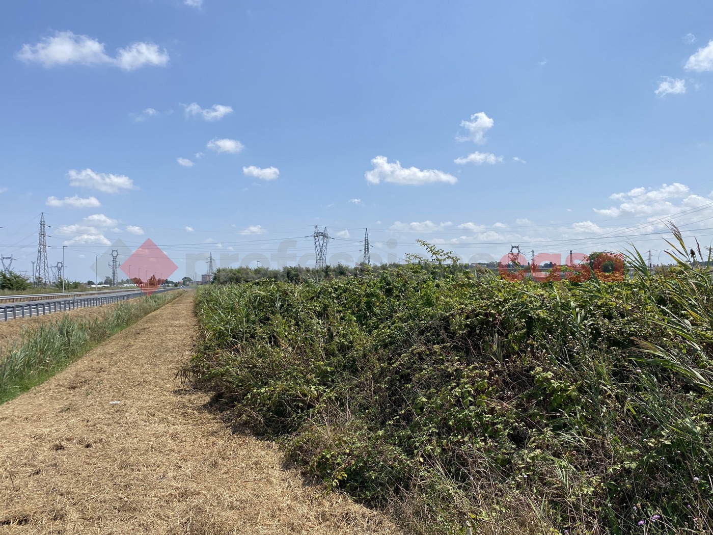 Terreno Edificabile in vendita a Collesalvetti