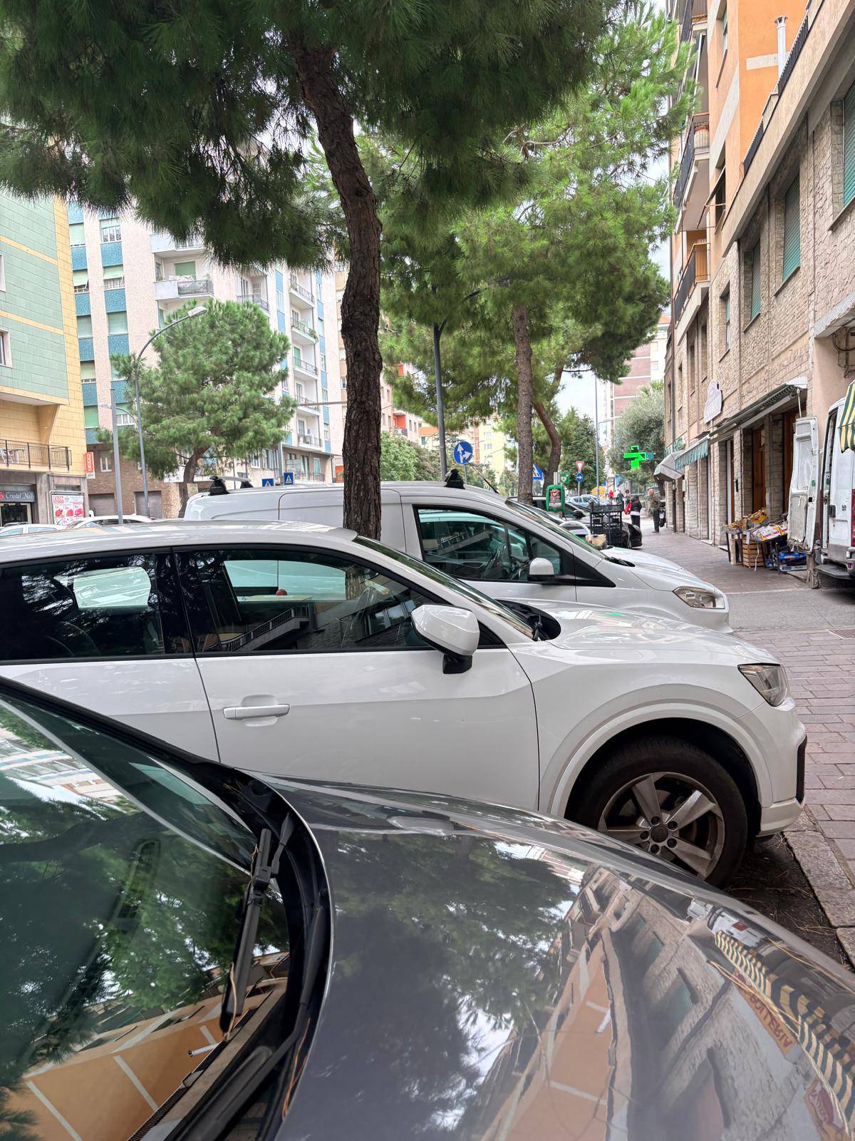 Attivit commerciale in vendita a Savona