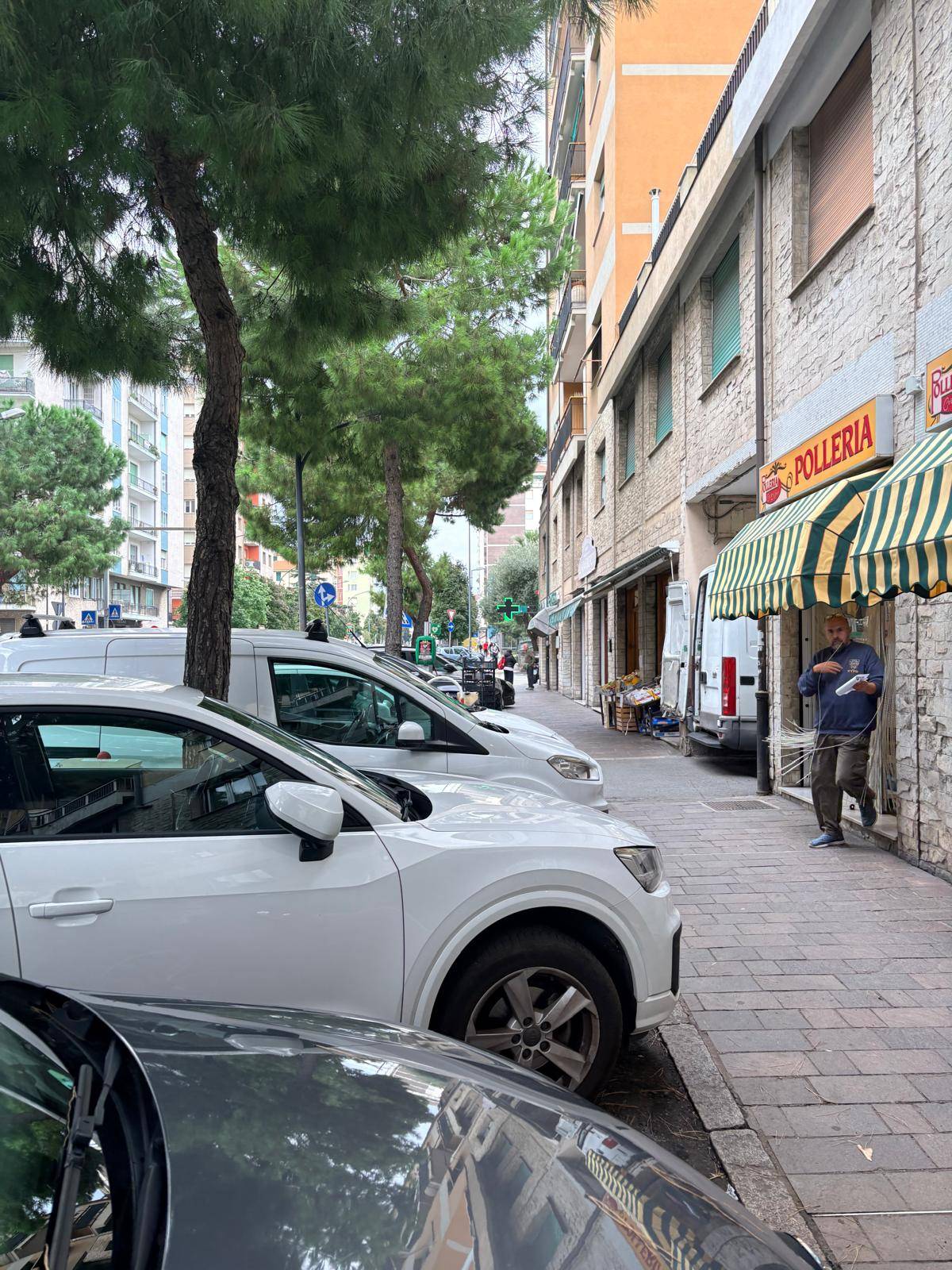 Attivit commerciale in vendita a Savona