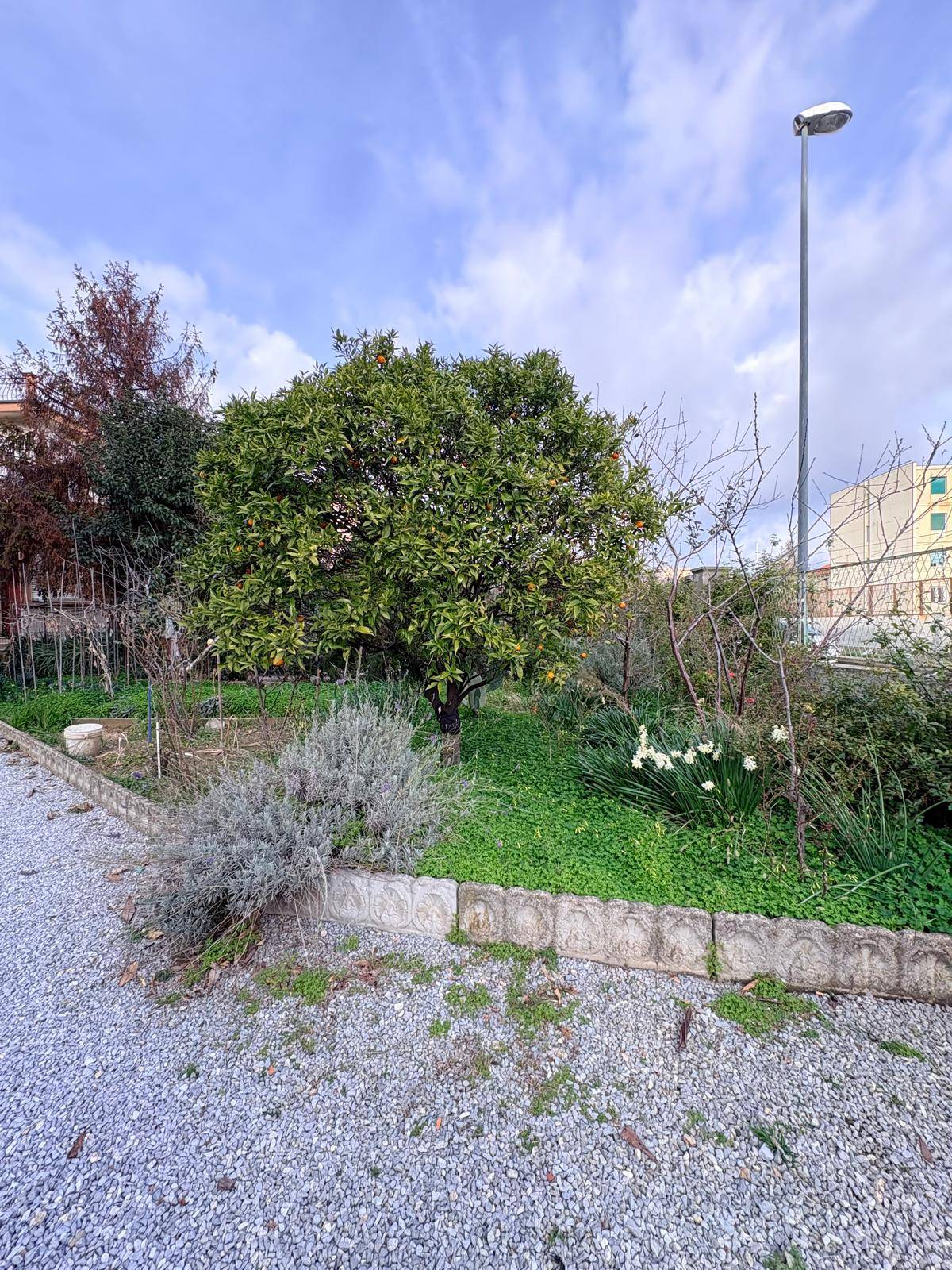 Appartamento in vendita a Savona, LeginoZinola