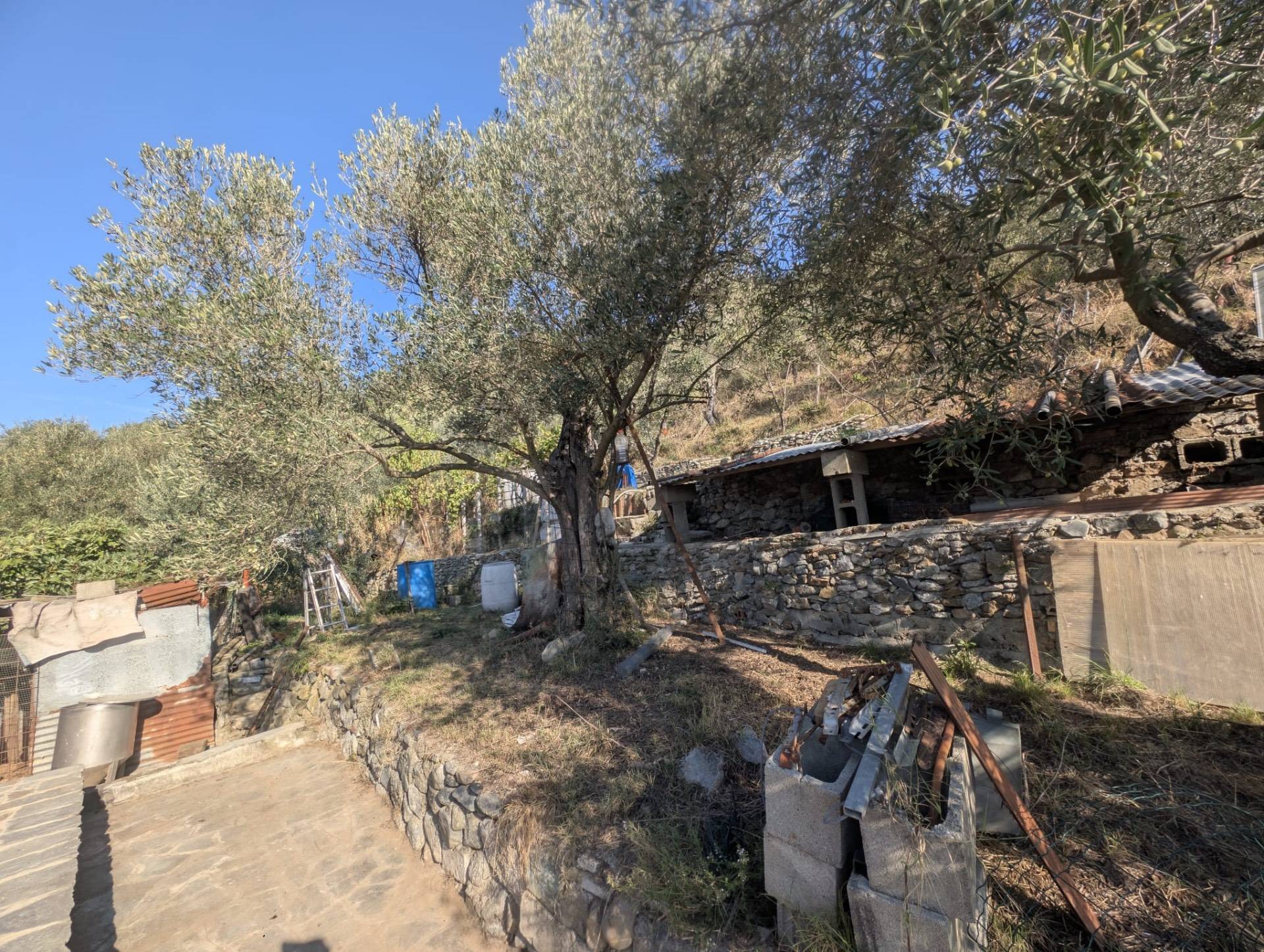 Casa singola in vendita a Albisola Superiore