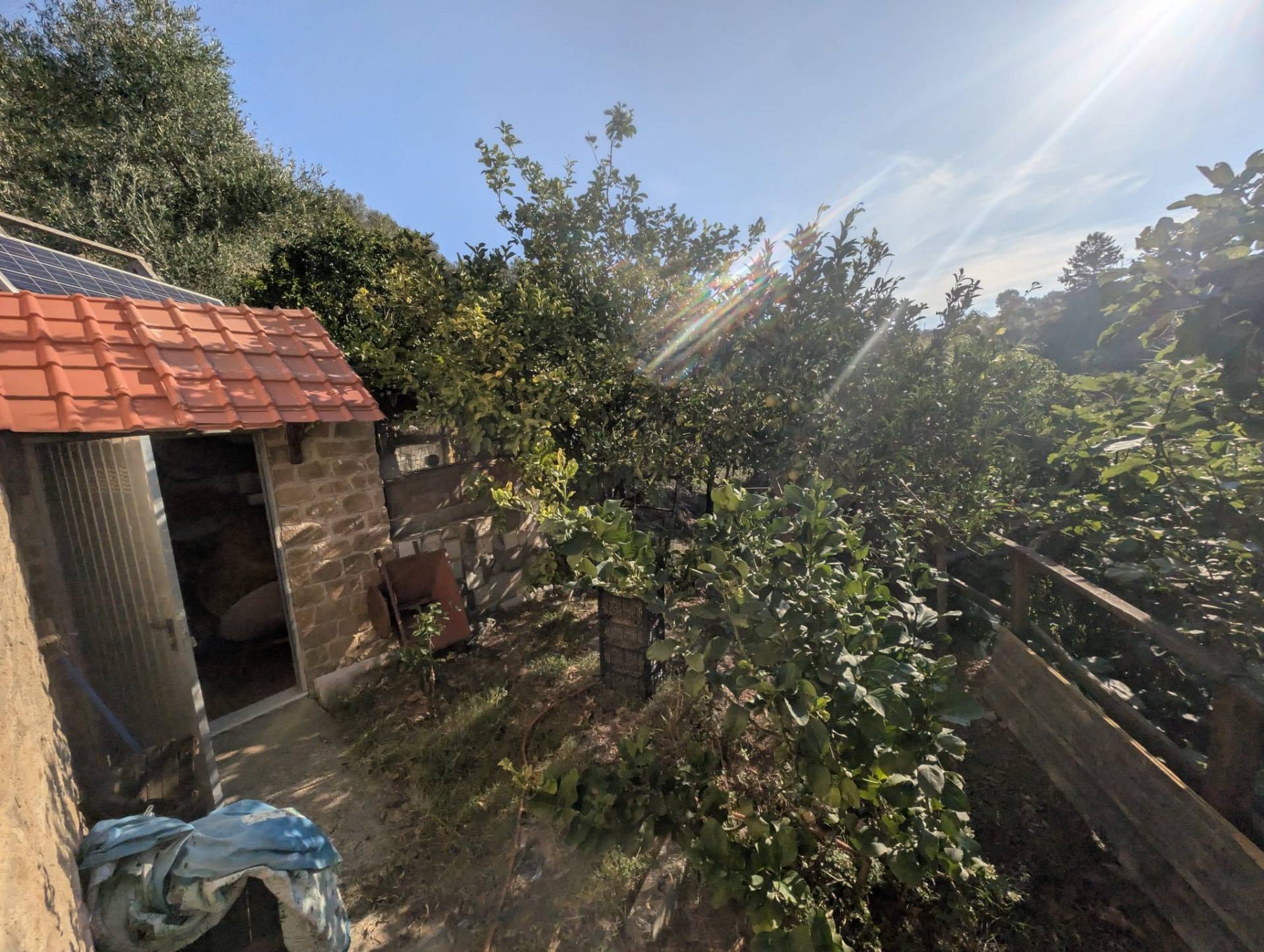 Casa singola in vendita a Albisola Superiore