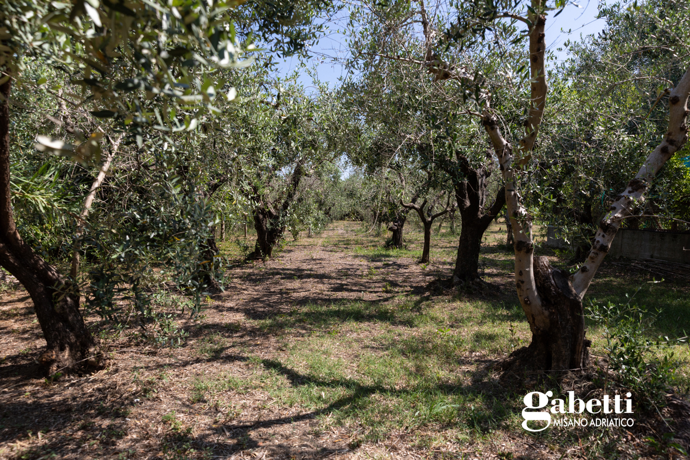Casa indipendente in vendita a San Giovanni in Marignano
