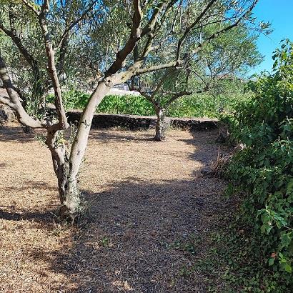 Terreno Agricolo in vendita in via morgione, San Giovanni la Punta