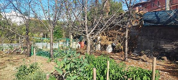 Terreno Agricolo in vendita in via monte d'oro valverde catania, Valverde