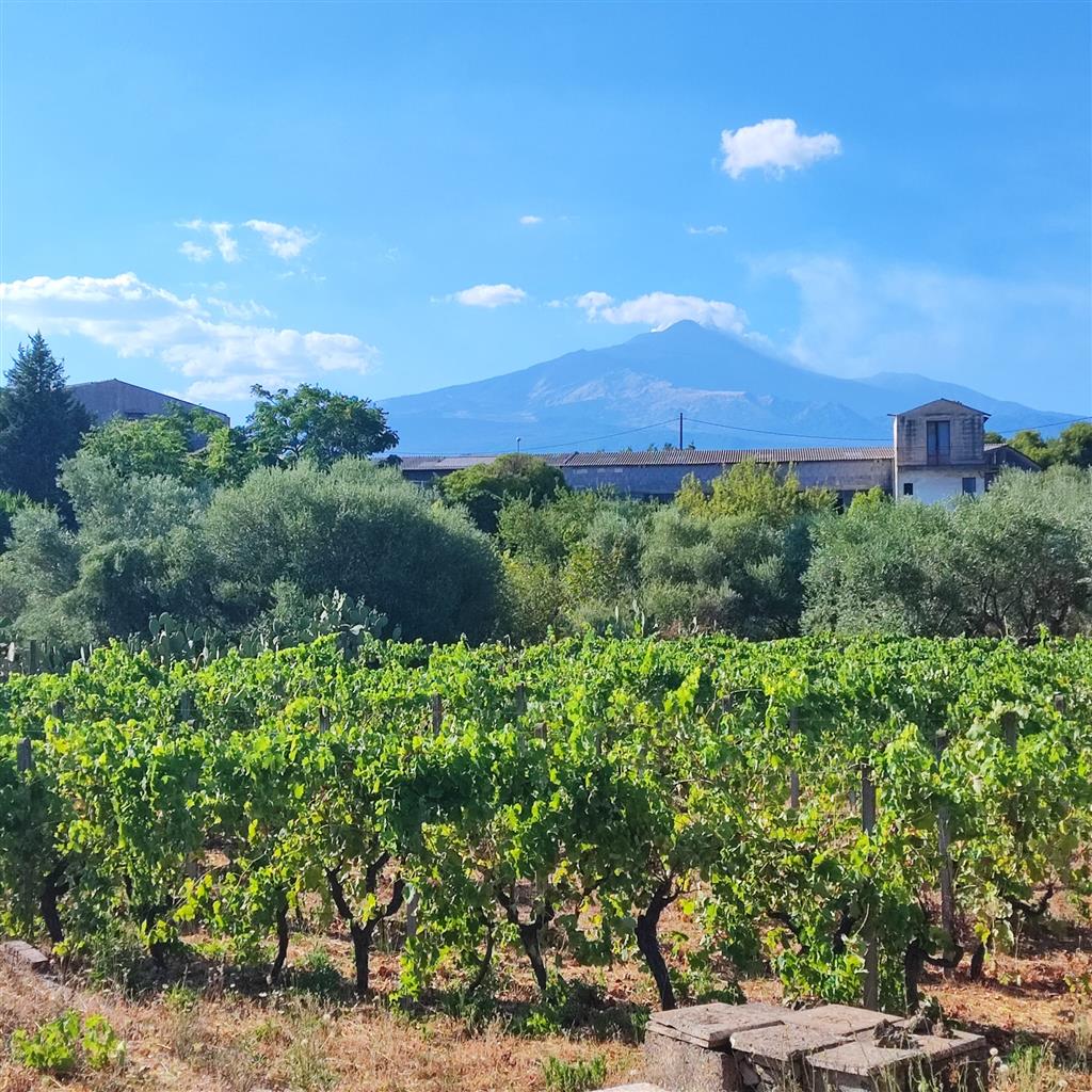 Terreno Edificabile in vendita in corso vittorio emanuele valverde catania, Valverde