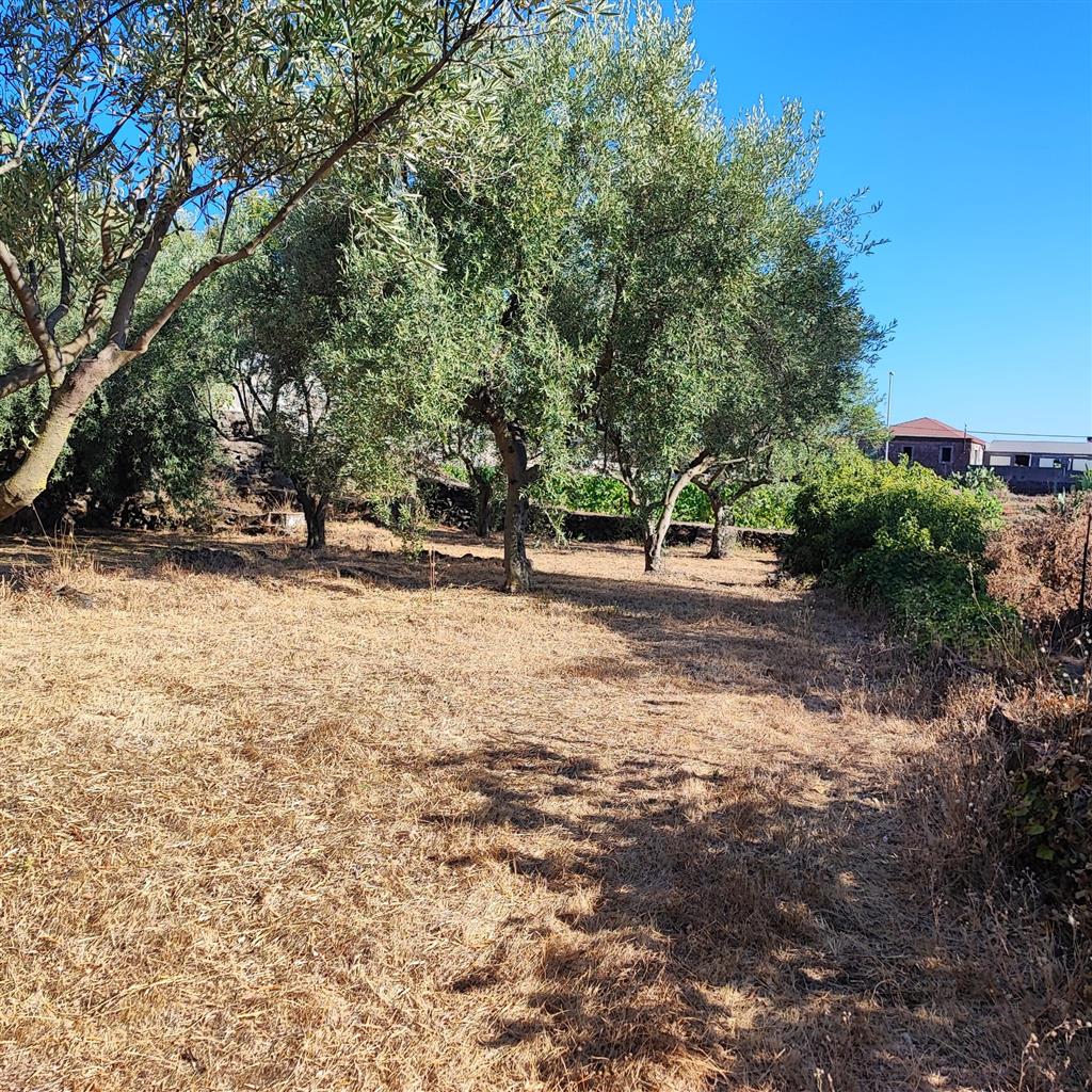 Terreno Agricolo in vendita in via morgione, San Giovanni la Punta