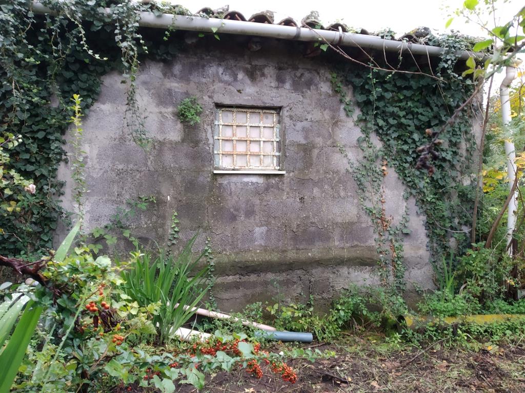 immagine annuncio 7 di 9