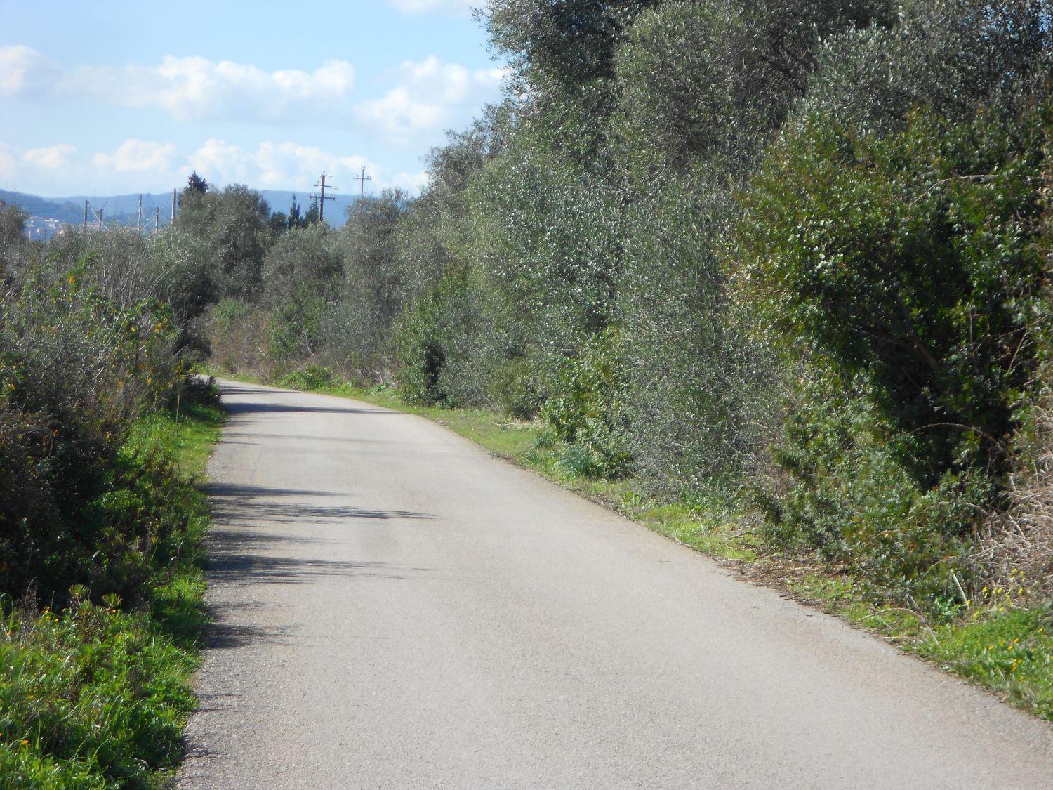 immagine annuncio 6 di 8