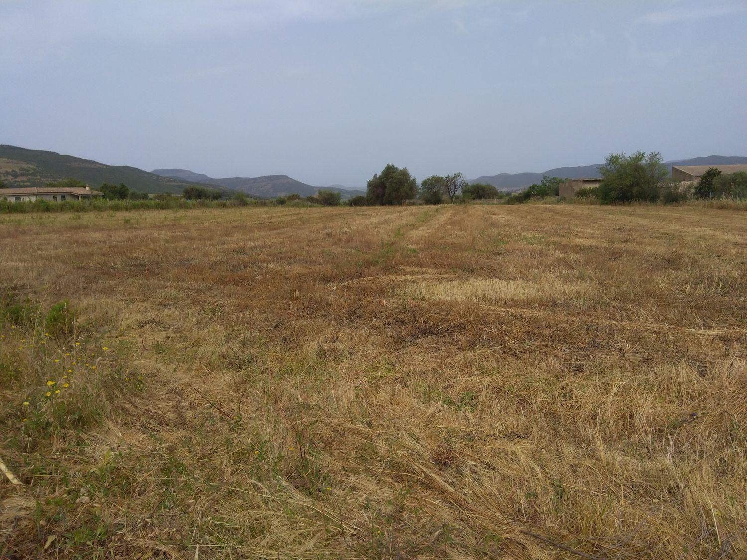 Terreno Edificabile in vendita a Nuxis