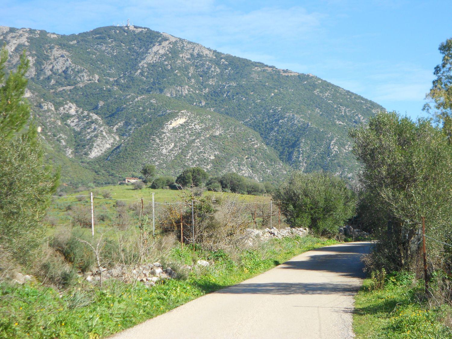 Terreno Agricolo in vendita a Iglesias