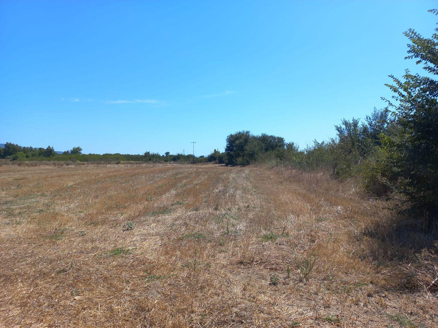 Terreno Agricolo in vendita a Villamassargia