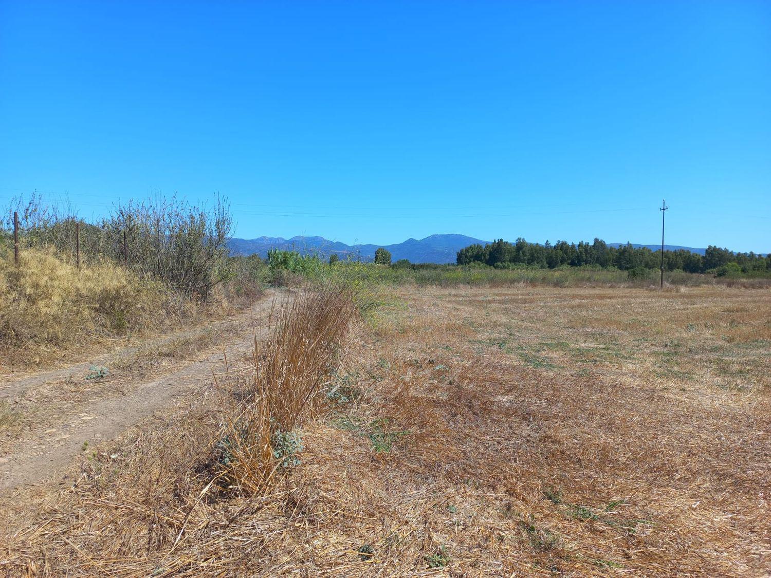 Terreno Agricolo in vendita a Villamassargia